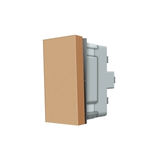 VL-C7-K1/2H-13 Polmodul mechanického tlačidla č.1/0 - zlatý